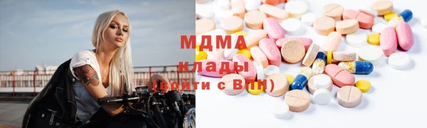spice Богородицк